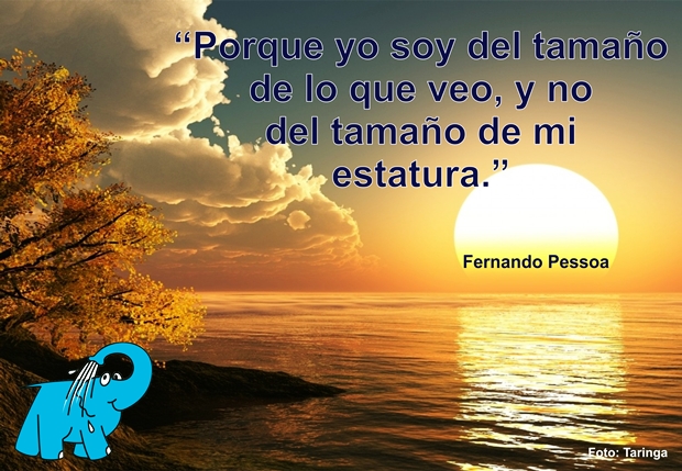 Una Reflexión de Fernando Pessoa sobre La Actitud, en La Frase del Día del Centro de lavado de coches Elefante Azul de Avilés.